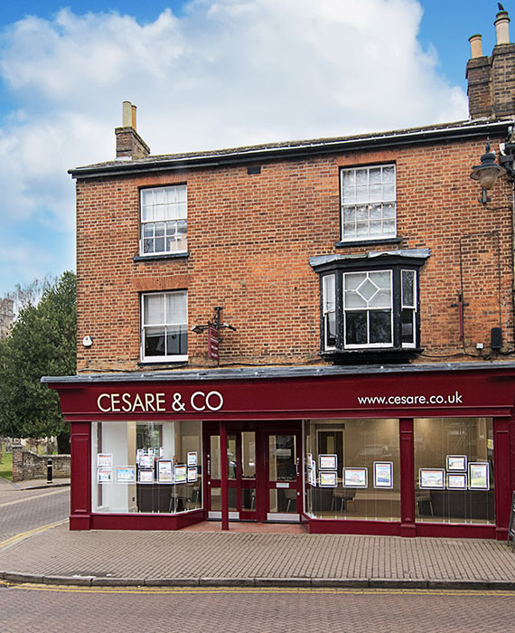 Cesare Estate Agents